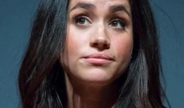 最新爆料185号梅根,185号事件背后惊人真相揭露